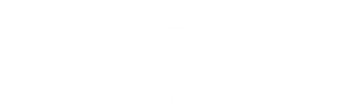 FLOW REPUBLIK